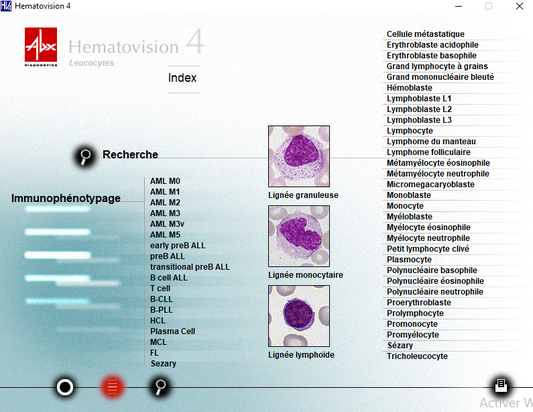 Hématovision : logiciel d'aide à l'identification des cellules sanguines